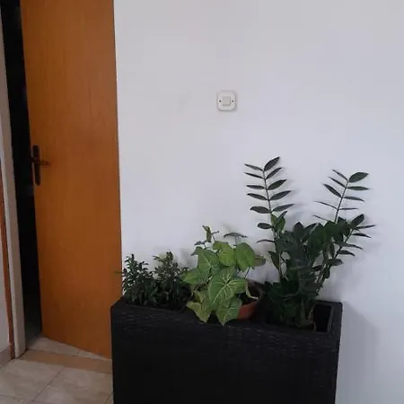 Апартаменты Merica Kneze